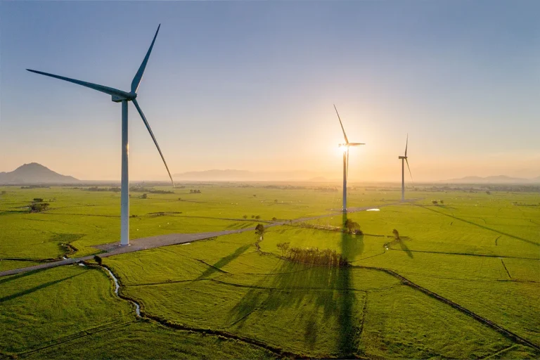 Solar farm picture for Brisbane law firm